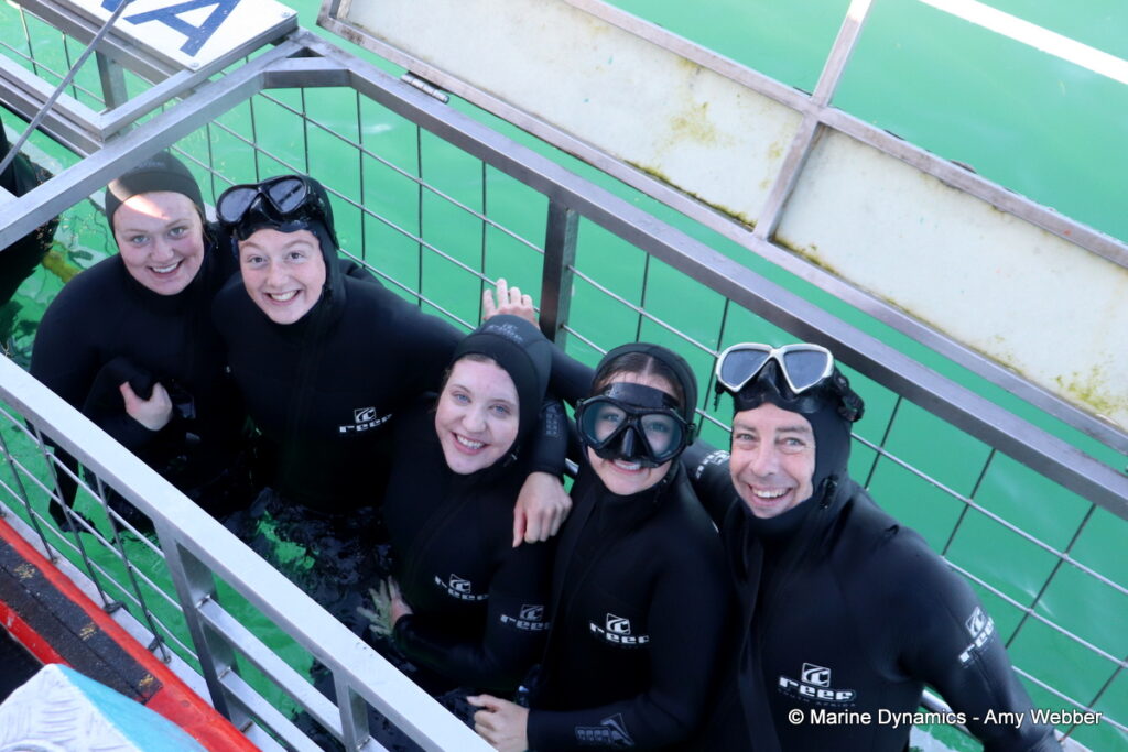 Shark cage diving, Gansbaai, South Africa