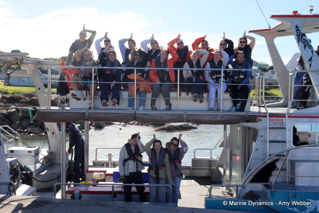 Shark cage diving, Gansbaai, South Africa
