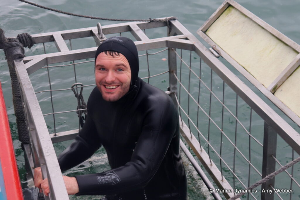 Shark cage diving, Gansbaai, South Africa