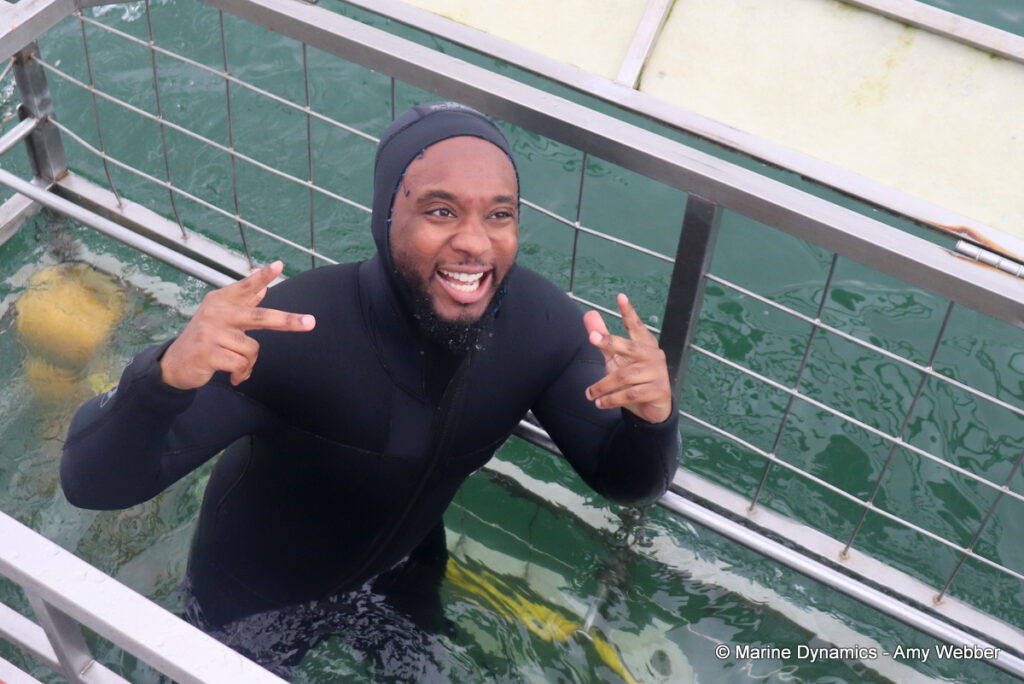 Shark cage diving, Gansbaai, South Africa
