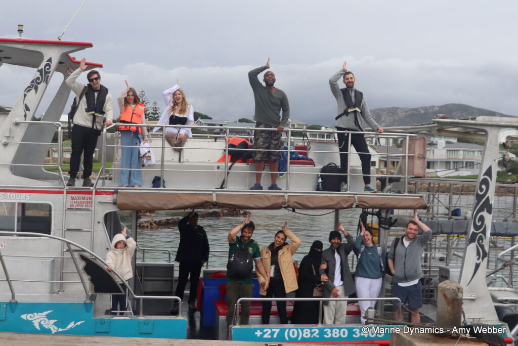Shark cage diving, Gansbaai, South Africa