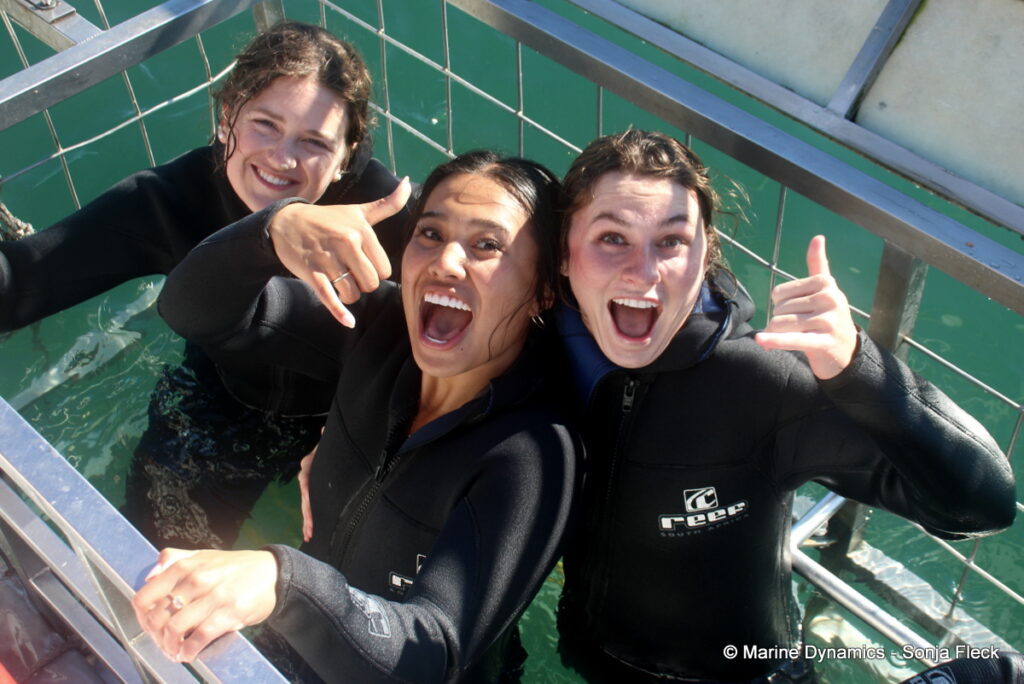 Shark cage diving, Gansbaai, South Africa