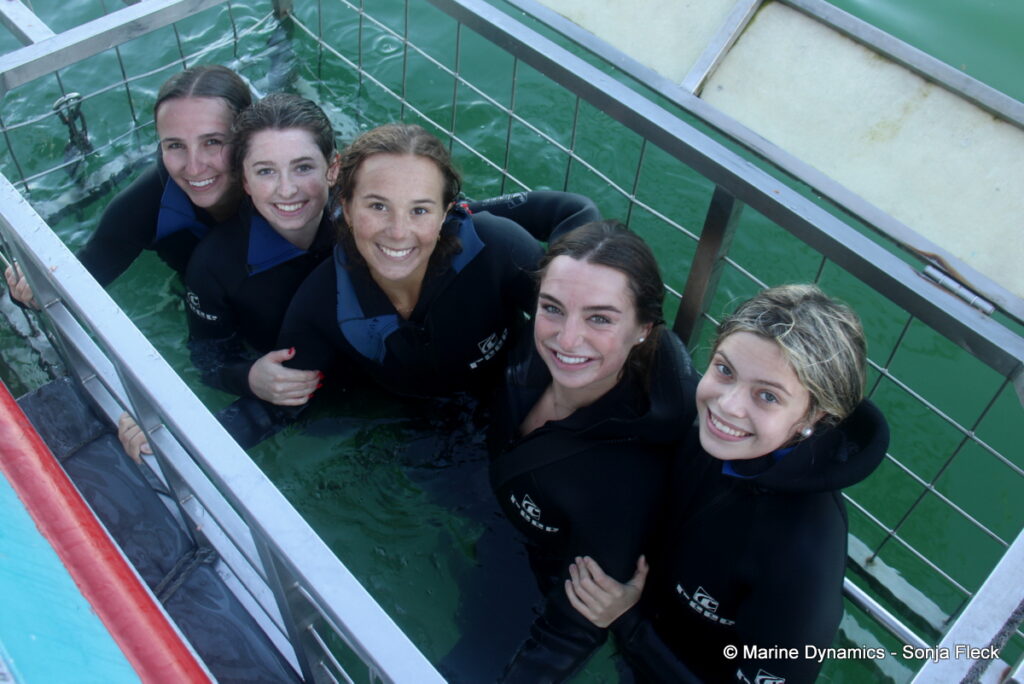 Shark cage diving, Gansbaai, South Africa