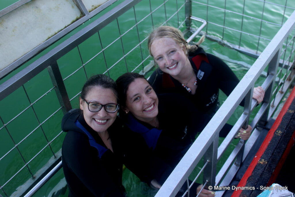 Shark cage diving, Gansbaai, South Africa