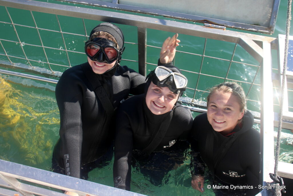 Shark cage diving, Gansbaai, South Africa