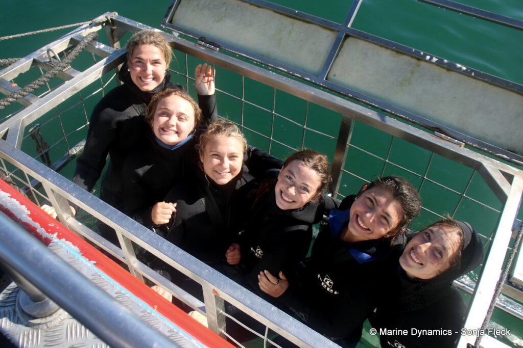 Shark cage diving, Gansbaai, South Africa