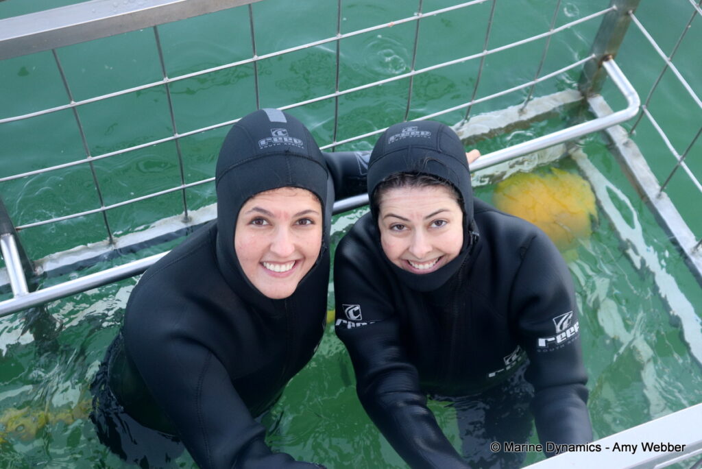 Shark cage diving, Gansbaai, South Africa