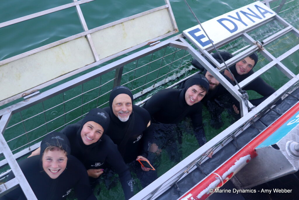 Shark cage diving, Gansbaai, South Africa