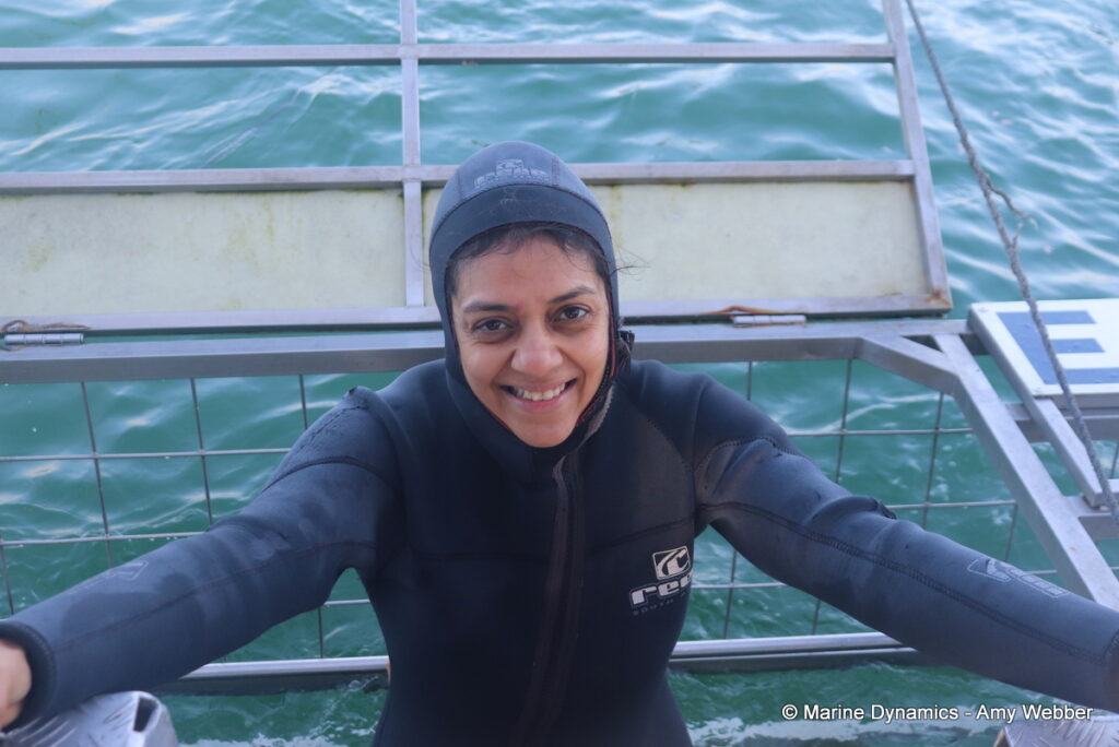Shark cage diving, Gansbaai, South Africa