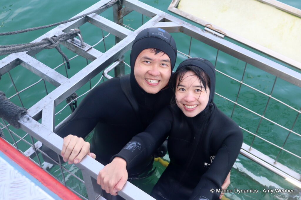 Shark cage diving, Gansbaai, South Africa