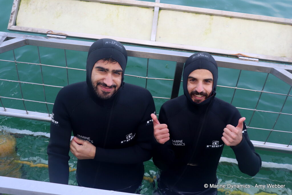 Shark cage diving, Gansbaai, South Africa