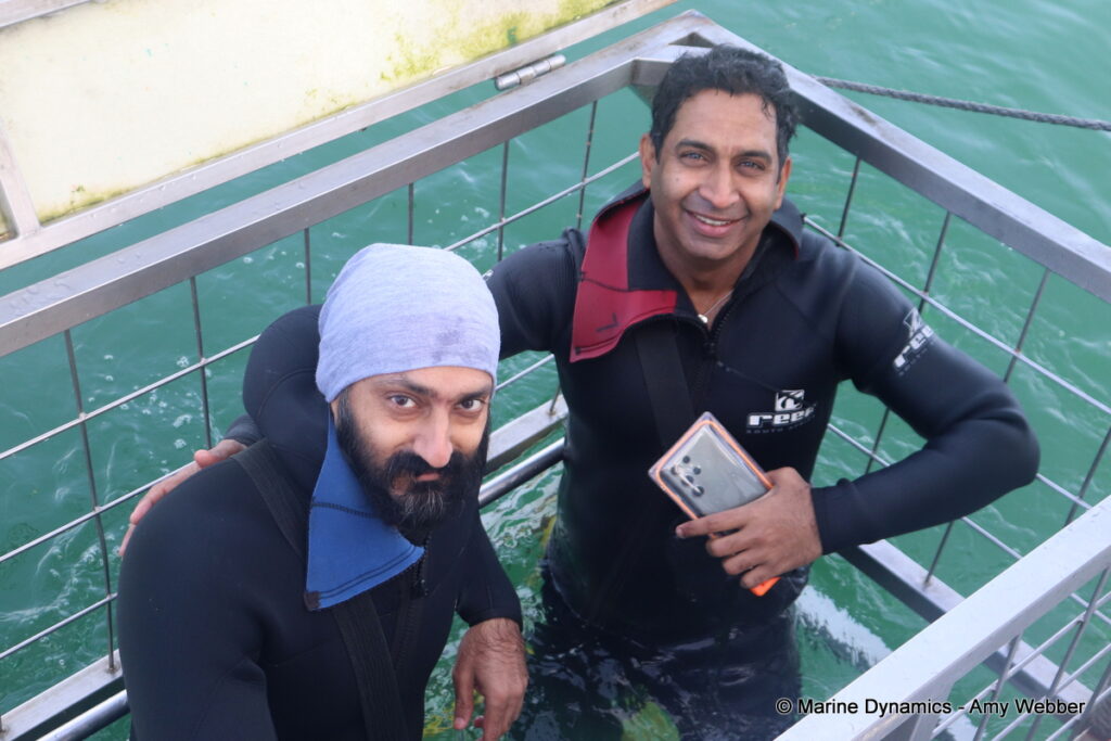 Shark cage diving, Gansbaai, South Africa