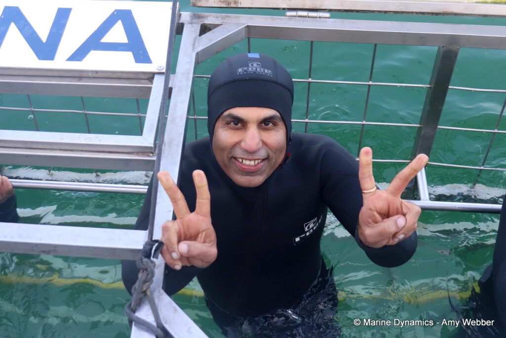 Shark cage diving, Gansbaai, South Africa