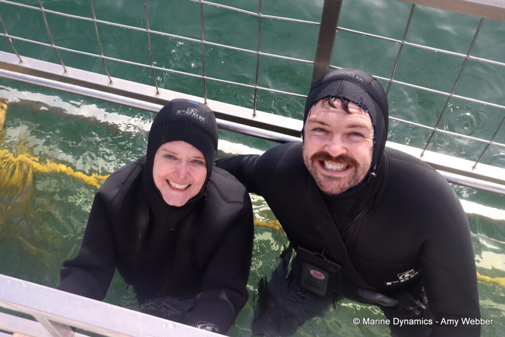 Shark cage diving, Gansbaai, South Africa