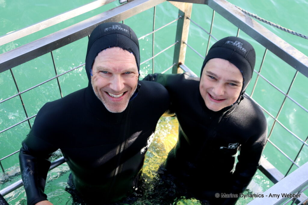 Shark cage diving, Gansbaai, South Africa