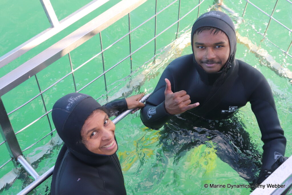 Shark cage diving, Gansbaai, South Africa