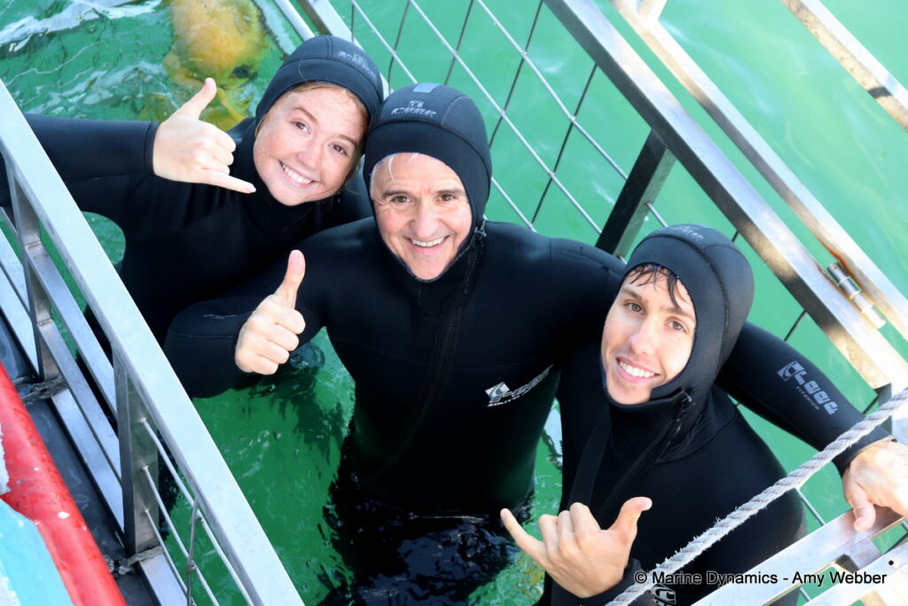 Shark cage diving, Gansbaai, South Africa
