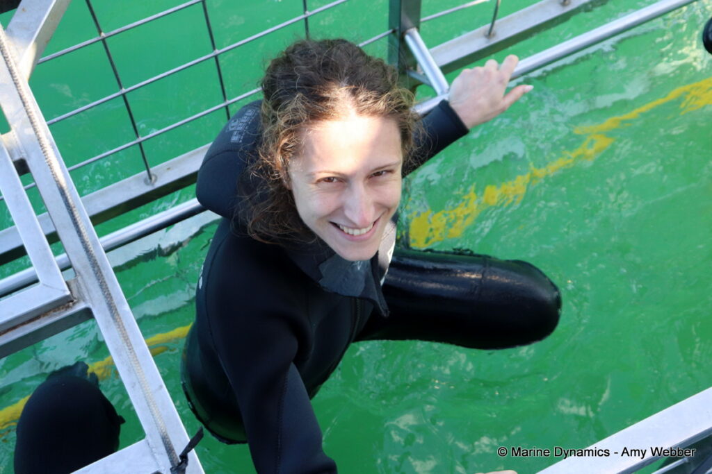 Shark cage diving, Gansbaai, South Africa