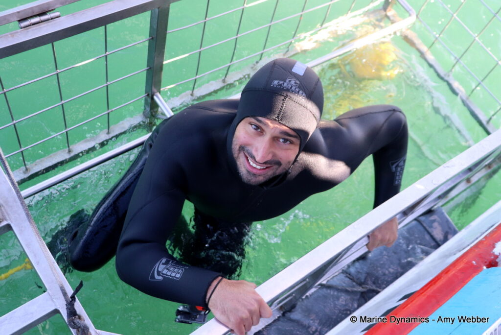 Shark cage diving, Gansbaai, South Africa