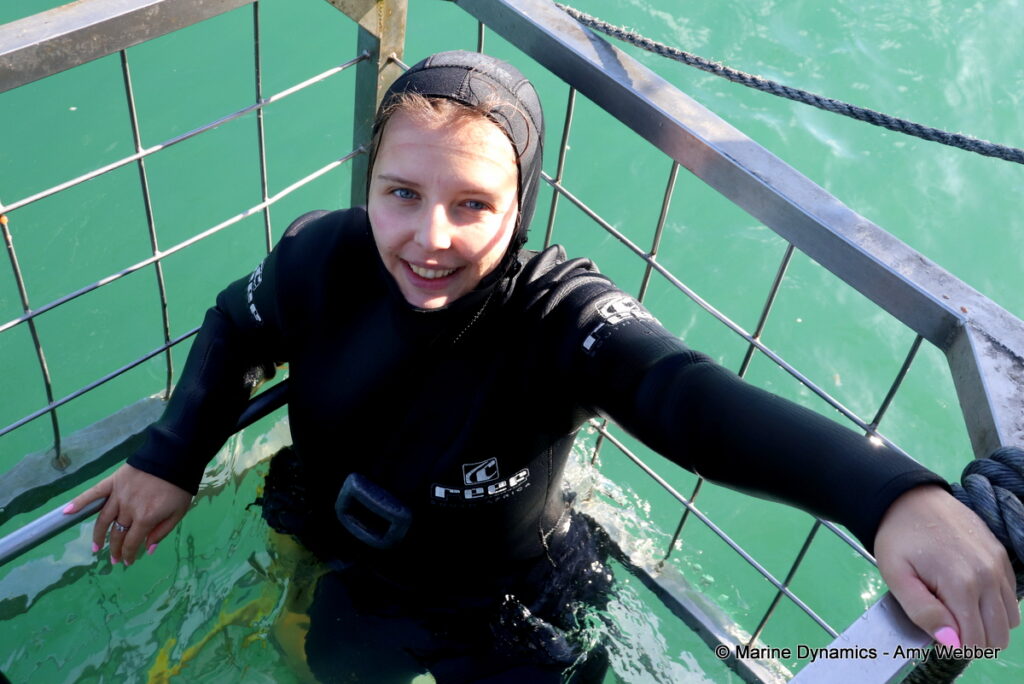 Shark cage diving, Gansbaai, South Africa