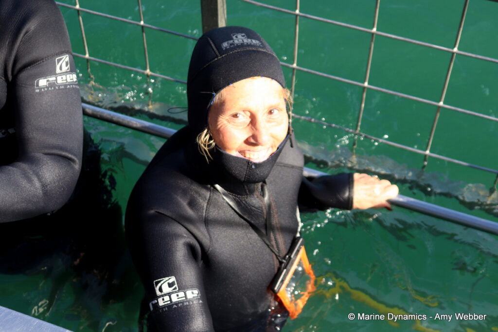 Shark cage diving, Gansbaai, South Africa