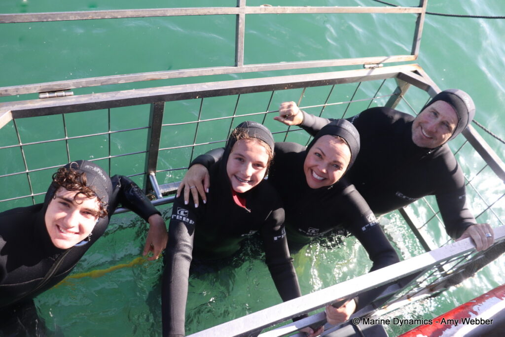 Shark cage diving, Gansbaai, South Africa