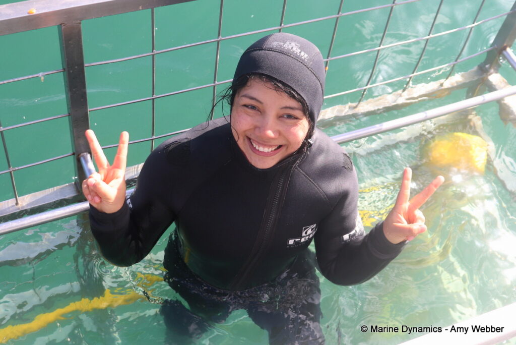 Shark cage diving, Gansbaai, South Africa