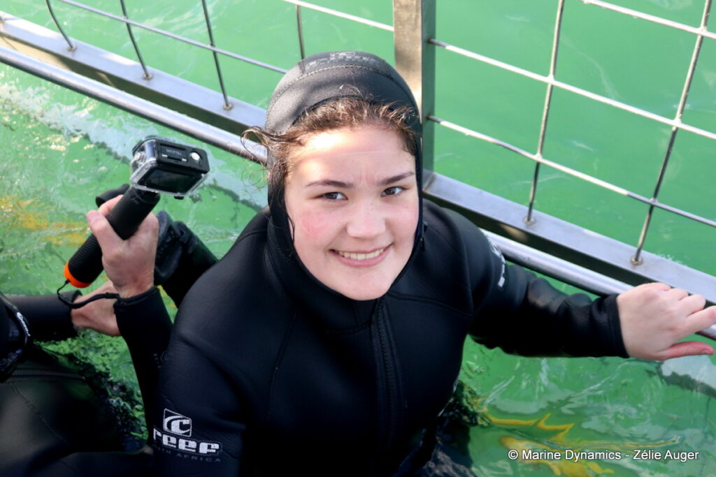 Shark cage diving, Gansbaai, South Africa