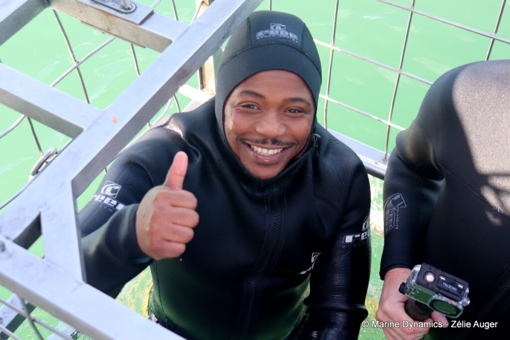 Shark cage diving, Gansbaai, South Africa