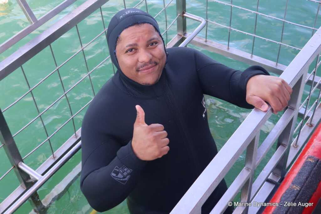 Shark cage diving, Gansbaai, South Africa