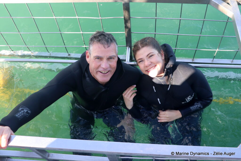 Shark cage diving, Gansbaai, South Africa