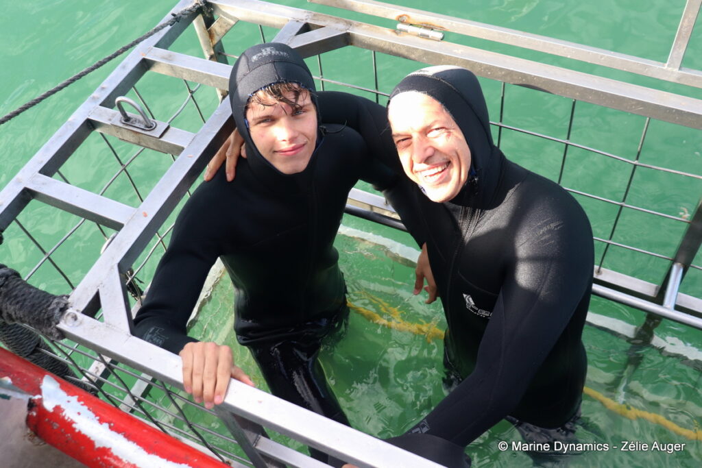 Shark cage diving, Gansbaai, South Africa
