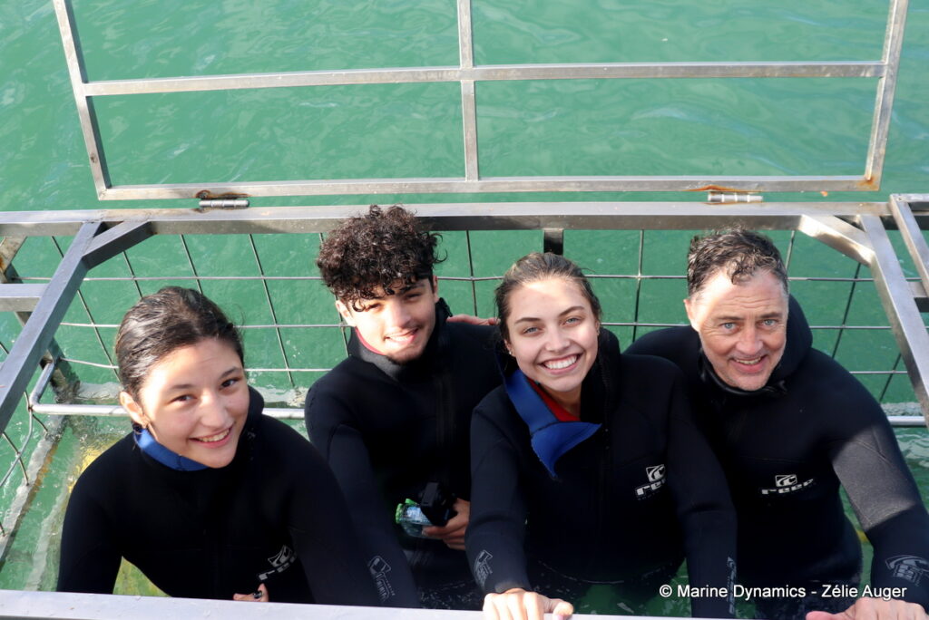 Shark cage diving, Gansbaai, South Africa