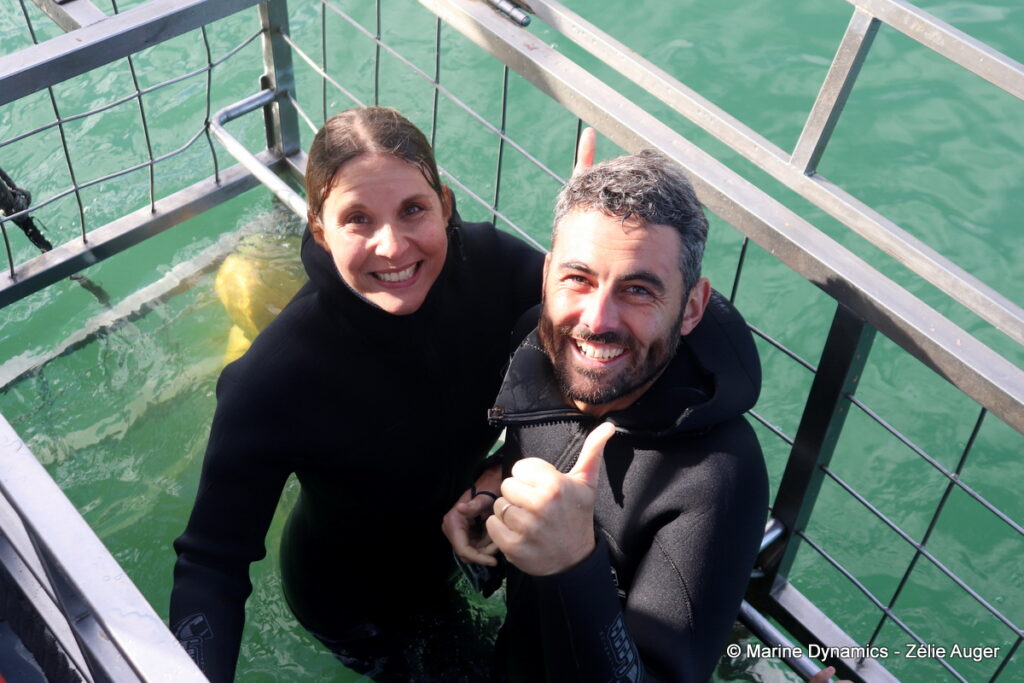 Shark cage diving, Gansbaai, South Africa