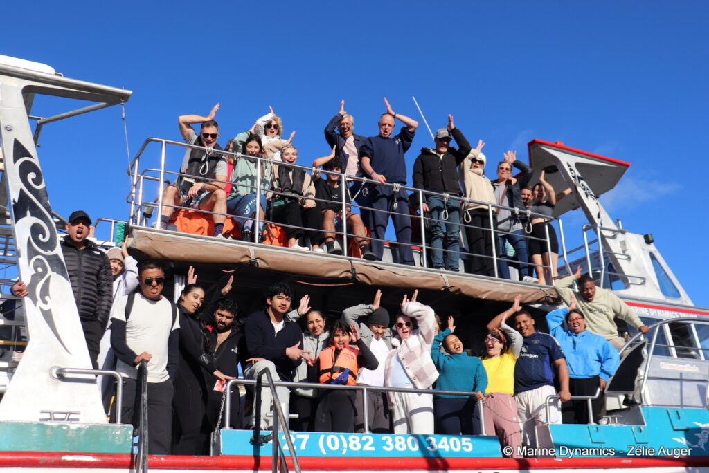 Shark cage diving, Gansbaai, South Africa