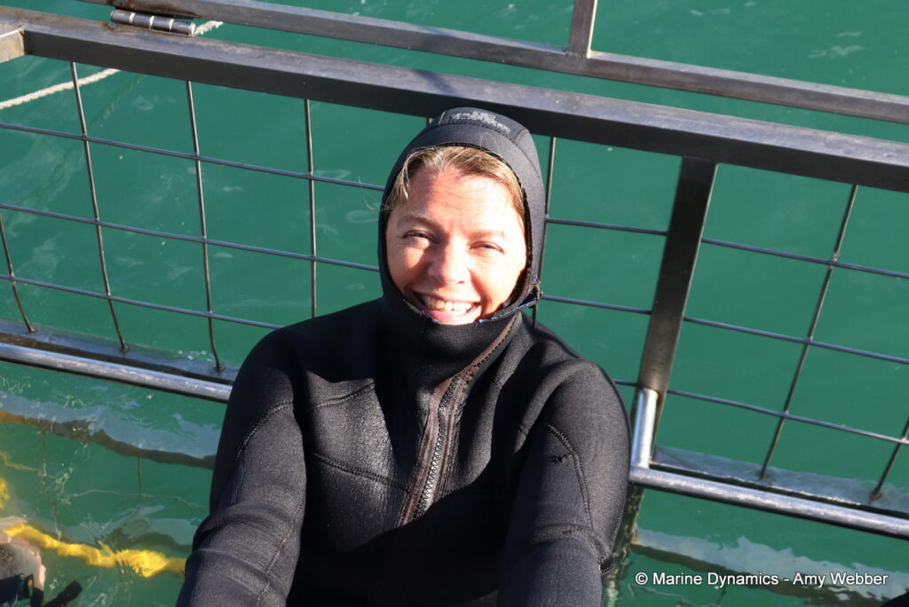 Shark cage diving, Gansbaai, South Africa
