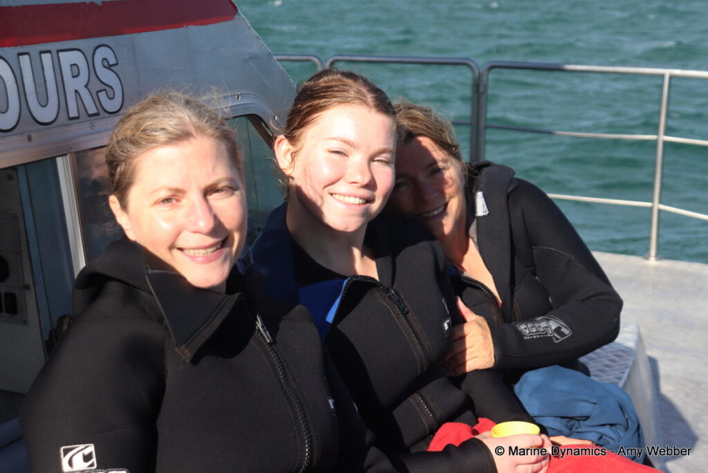 Shark cage diving, Gansbaai, South Africa