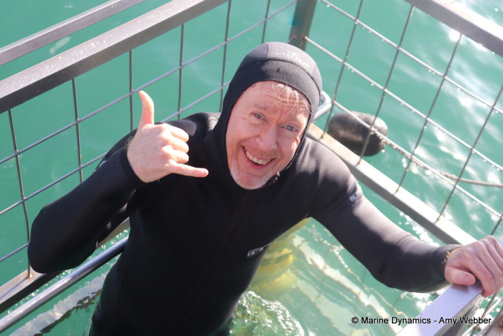 Shark cage diving, Gansbaai, South Africa