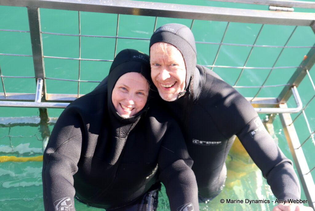 Shark cage diving, Gansbaai, South Africa