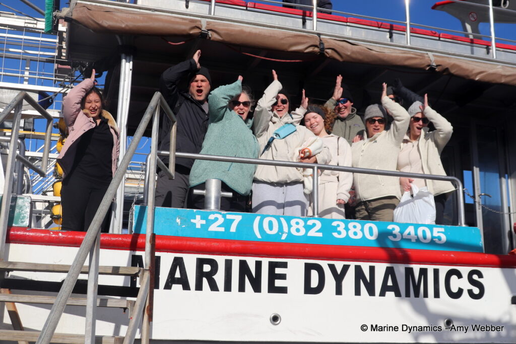 Shark cage diving, Gansbaai, South Africa