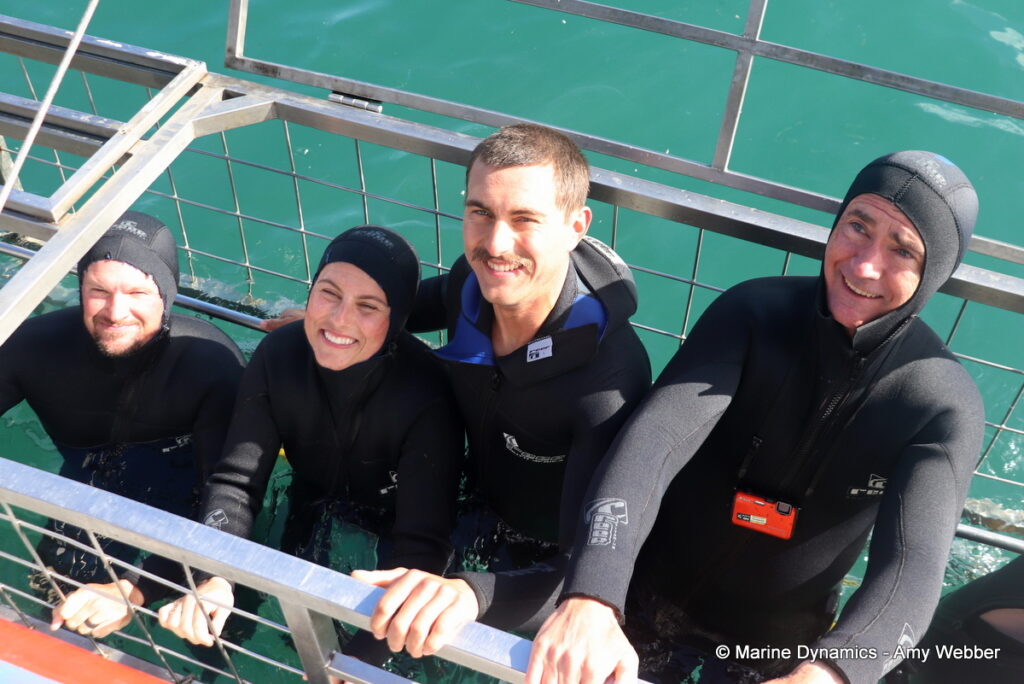 Shark cage diving, Gansbaai, South Africa