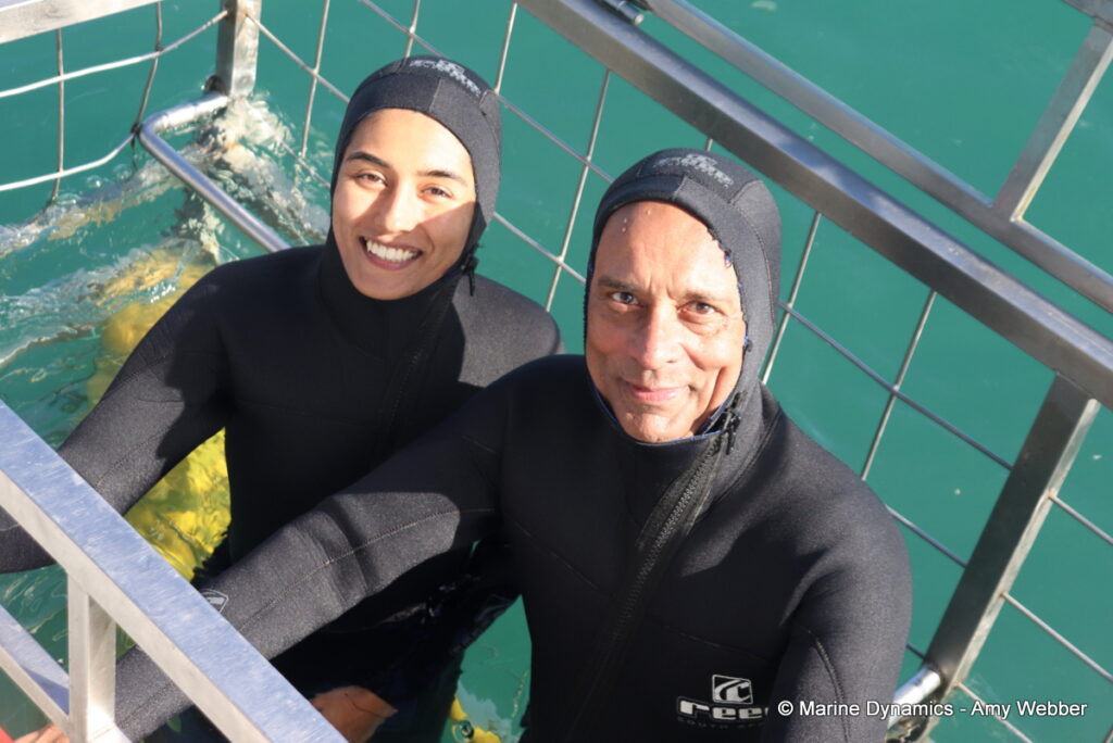 Shark cage diving, Gansbaai, South Africa