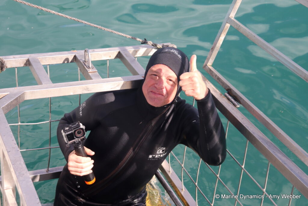Shark cage diving, Gansbaai, South Africa