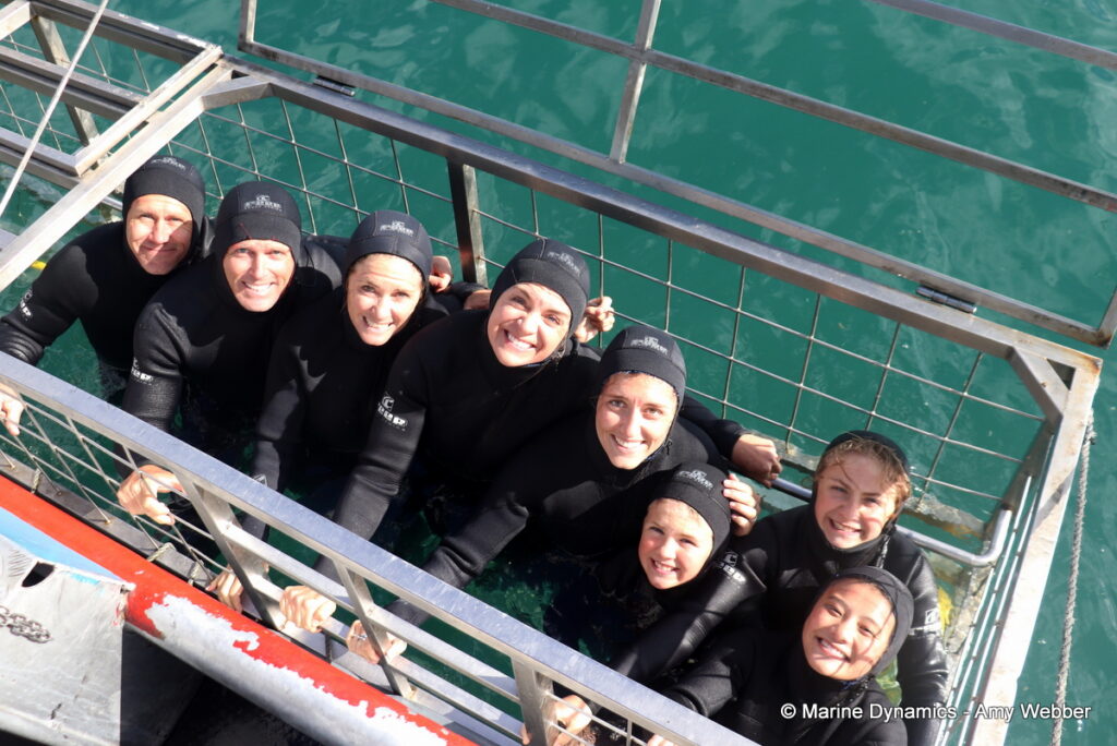 Shark cage diving, Gansbaai, South Africa