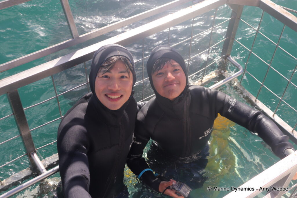 Shark cage diving, Gansbaai, South Africa