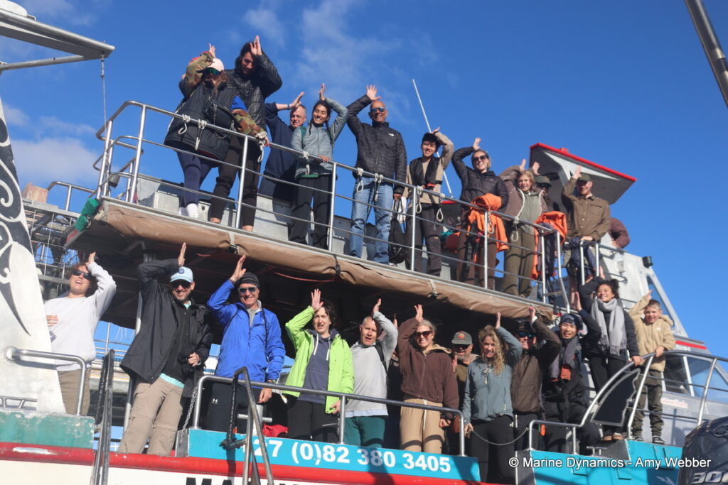 Shark cage diving, Gansbaai, South Africa