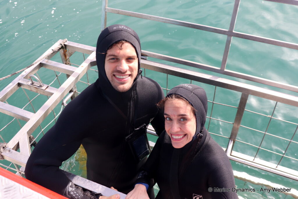 Shark cage diving, Gansbaai, South Africa