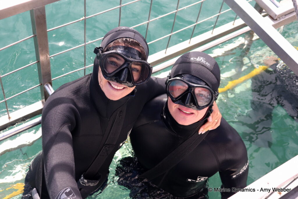 Shark cage diving, Gansbaai, South Africa