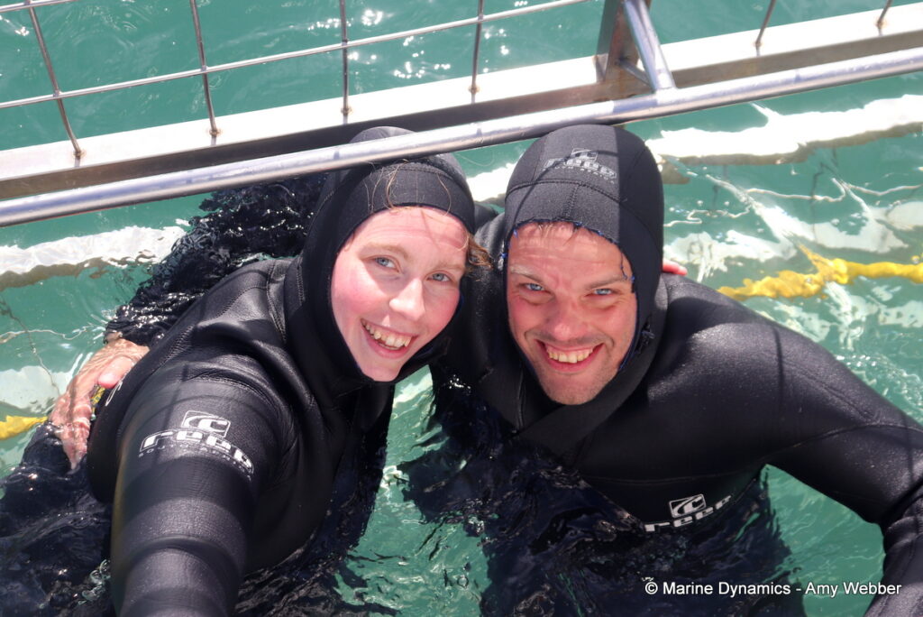 Shark cage diving, Gansbaai, South Africa