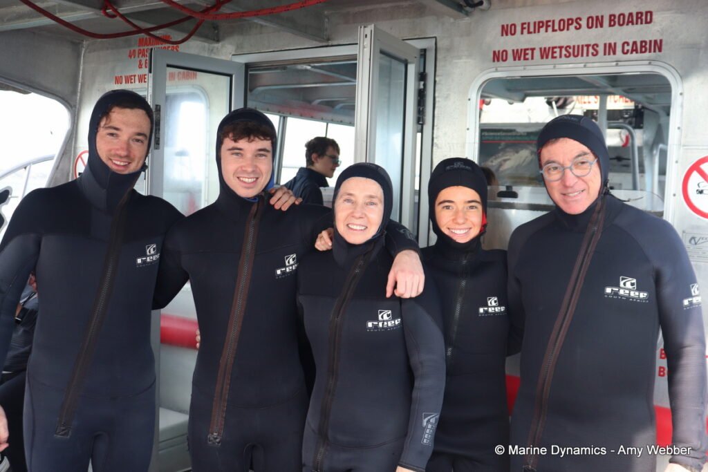 Shark cage diving, Gansbaai, South Africa